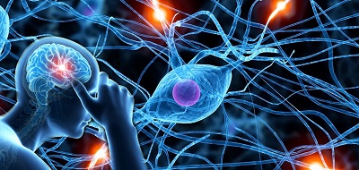 uničen metabolizem in hujšanje živčni sistem
